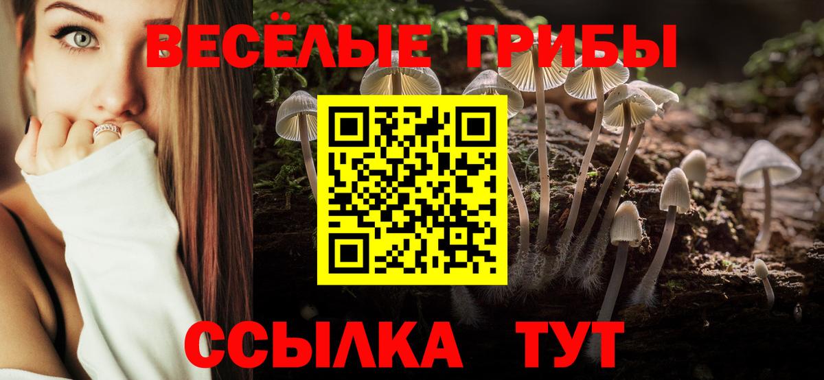магазин  наркотиков  Вход с VPN  Карталы  Псилоцибиновые грибы прущие грибы 